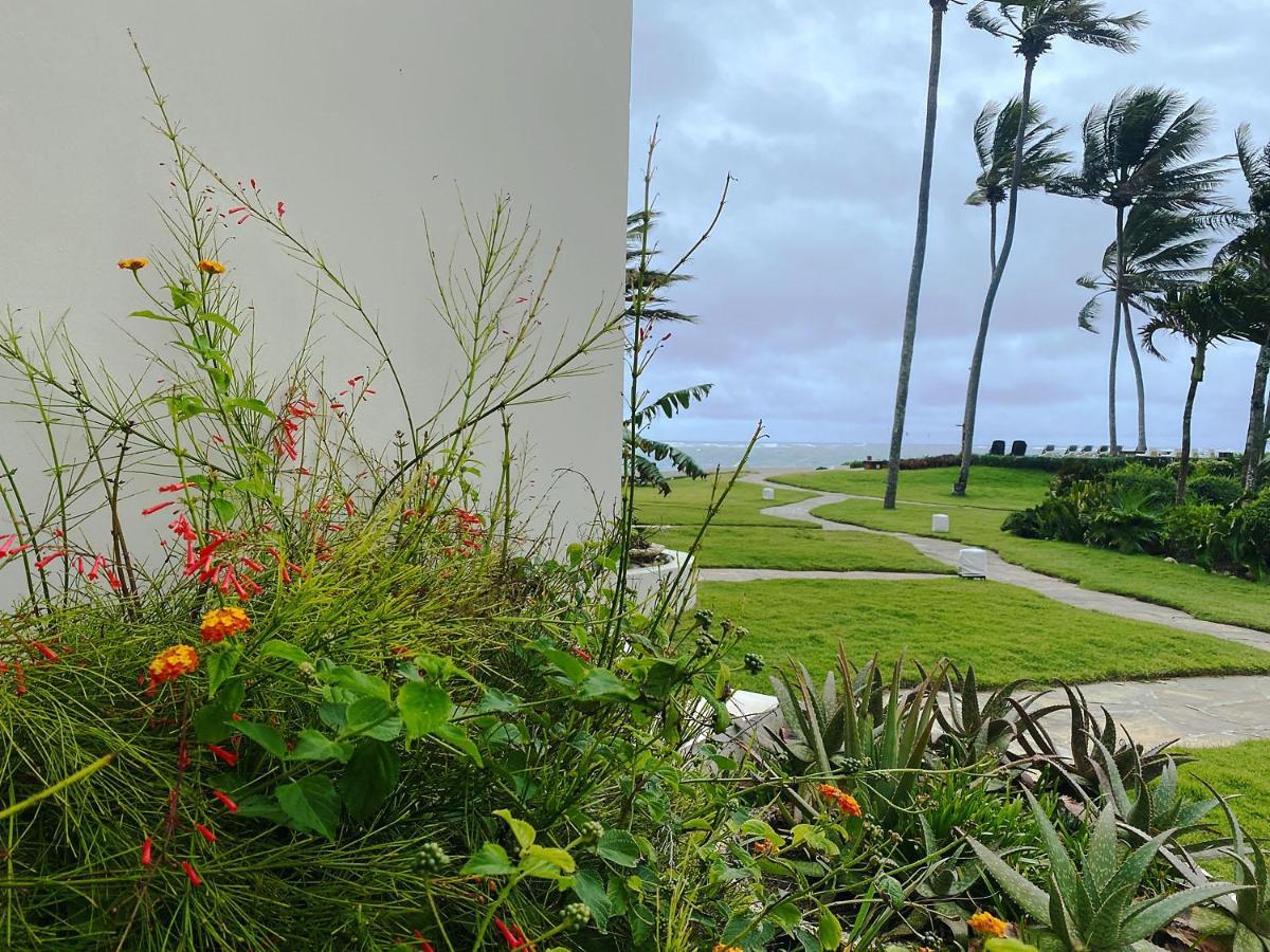 Cabarete Beachfront Condos At Nanny Estate C-5 Bagian luar foto