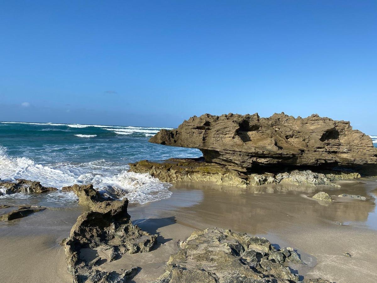 Cabarete Beachfront Condos At Nanny Estate C-5 Bagian luar foto